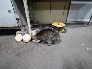 ミニサム　250224 (1 - 1)